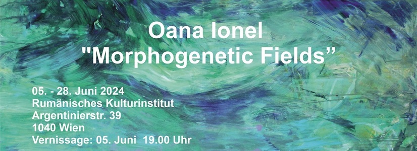 Ausstellung „Morphogenetische Felder" - Oana Ionel